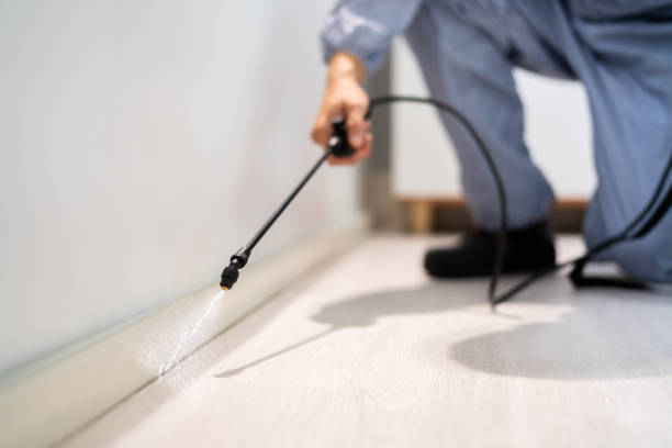 Licensed Pest Control service in Holly Springs, NC - Show Me Pest Control