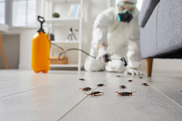 Commercial Kitchen Cockroach Control in Holly Springs